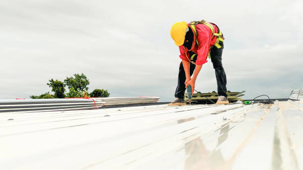 Best Roof Ventilation Installation  in Genoa City, WI